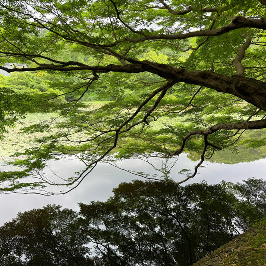 Kyoto, Japan